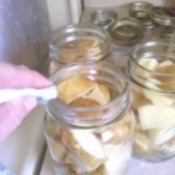How to Can Fresh Small Potatoes/ Canning