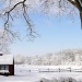 winter barnyard
