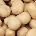 canning potatoes