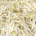 Bean Sprouts for your preps